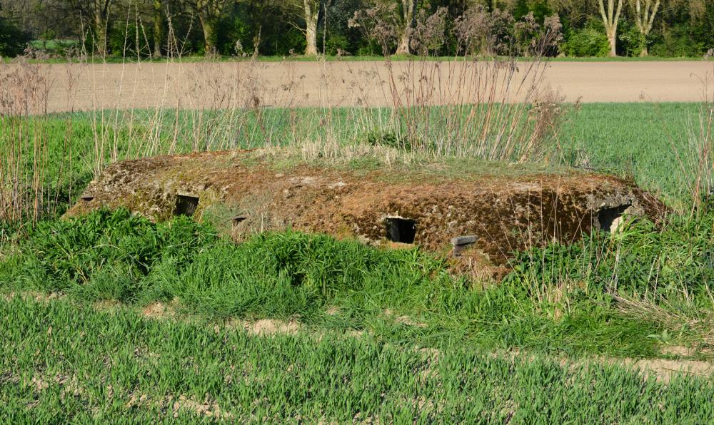 Ligne Maginot - Vue exterieure - Les trois créneaux de tir sont visibles sur la photo, ainsi que les rails noyés dans la dalle supérieure qui dépassent de l'ouvrage.
L'entrée se trouve sur le coté gauche