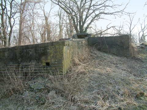 Ligne Maginot - BREITSAND 5 (Observatoire d'infanterie) - Vue d'ensemble