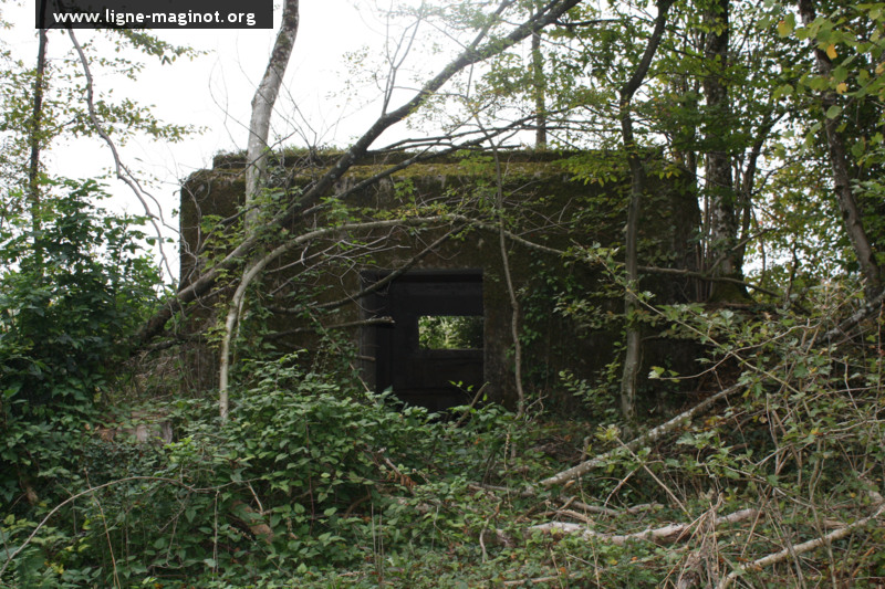 Ligne Maginot - DB318 - BOIS DE BEUVEILLE NORD OUEST - (Blockhaus pour canon) - 
