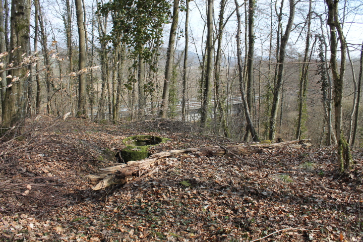 Ligne Maginot - SCHLOSSWALD 5 - (Observatoire d'infanterie) - Vue générale
