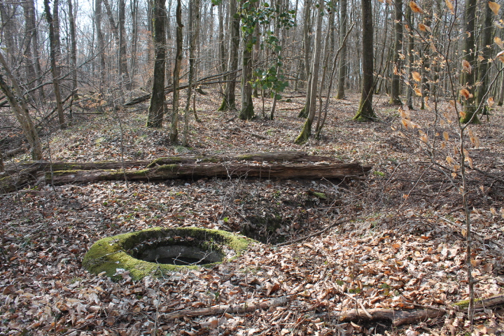 Ligne Maginot - SCHLOSSWALD 5 - (Observatoire d'infanterie) - Vue générale