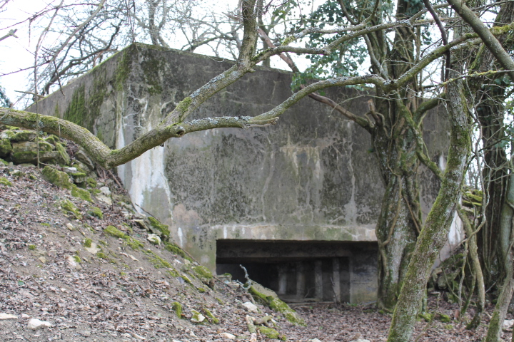 Ligne Maginot - FUERST 4 - (Blockhaus pour canon) - Façade de tir