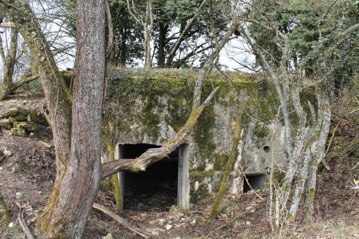 Ligne Maginot - FUERST 4 - (Blockhaus pour canon) - Les entrées