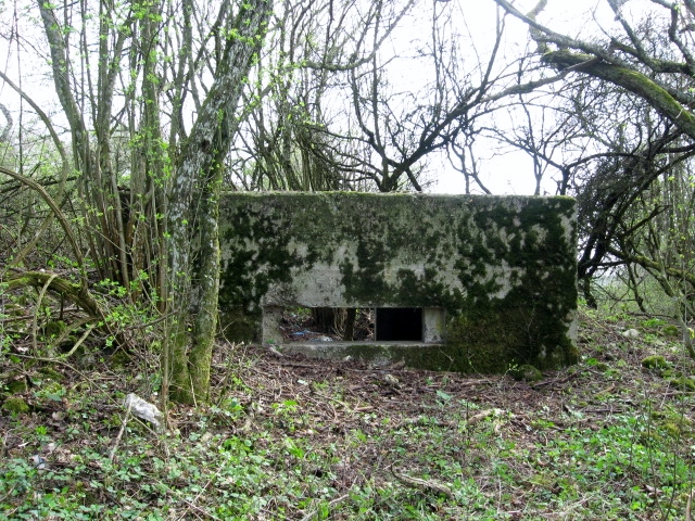 Ligne Maginot - STEINER DEL 4 - (Blockhaus pour canon) - Vue générale