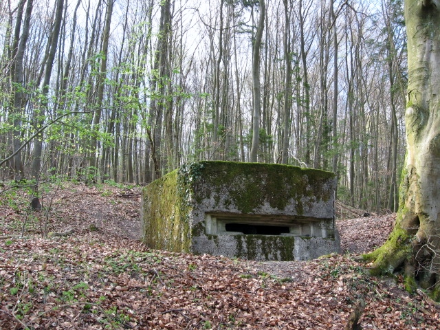 Ligne Maginot - MEISTERBUSCH 3 - (Observatoire d'infanterie) - 