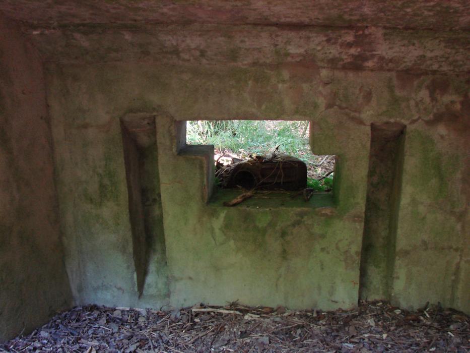 Ligne Maginot - Blockhaus Bb06 - Vue d'ensemble