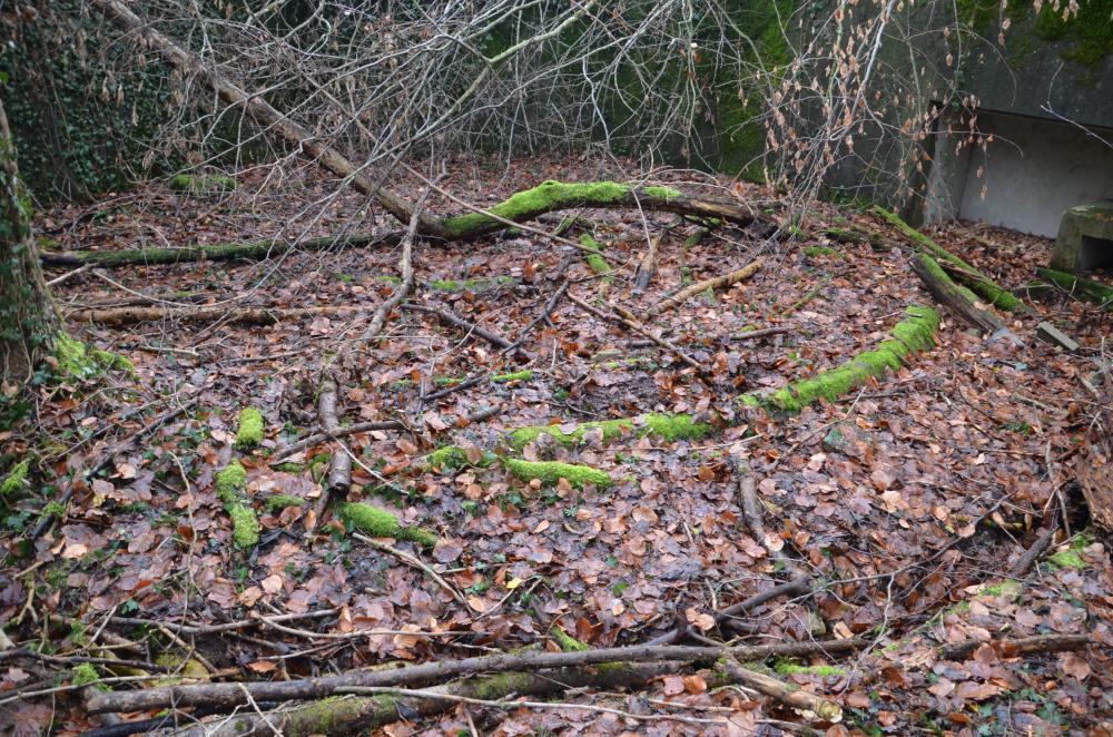 Ligne Maginot - Batterie de Willerhof - Emplacement du canon dans l'encuvement 1