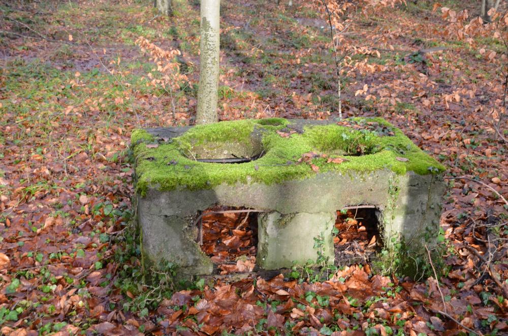 Ligne Maginot - Batterie de Willerhof - Cuisinière à deux feux