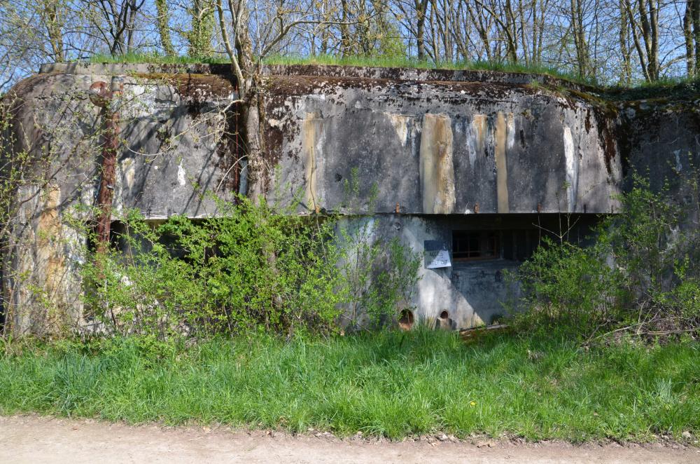Ligne Maginot - Blockhaus STG 89 - Tapfelbaum - Créneaux de tir Sud-ouest