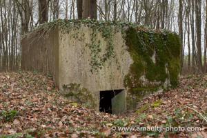 Ligne Maginot - Vue générale - 