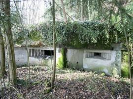 Ligne Maginot - Blockhaus de WENTZWILLER 1 - 