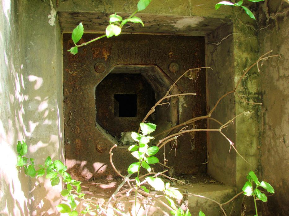Ligne Maginot - HUMMERSBERG - X20 - (Abri) - Coffre Sud
Second créneau de défense.