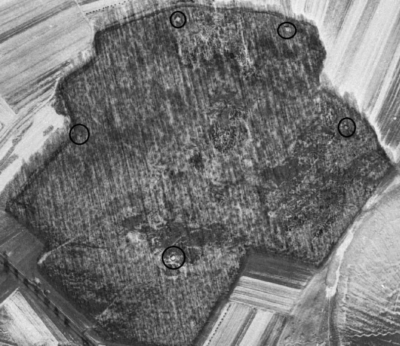 Ligne Maginot - Photo aérienne du bois de Kalmerich - 1963 - Les cercles identifient les blockhaus visibles