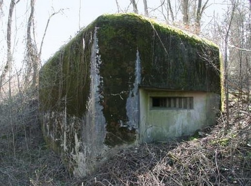 Ligne Maginot - B672 - KOLOMONISMATTEN - (Blockhaus pour arme infanterie) - 