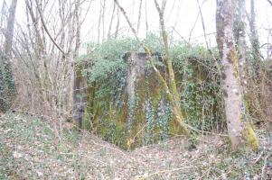 Ligne Maginot - DB355 - LA LOUVIERE - (Blockhaus pour arme infanterie) - Situé à proximité du PC de la LOUVIERE cet ouvrage est entouré d'arbres et ronces qui le font disparaître. En hiver il est difficilement visible... En été il est invisible