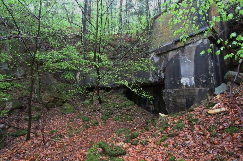 Ligne Maginot - HOCHWALD - Reduit ( Ouvrage d'infanterie ) - Les ruines de l'entrée mixte détruite par une explosion