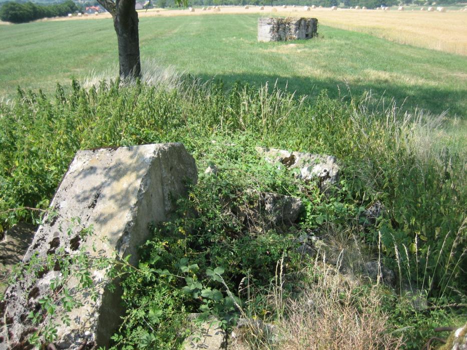 Ligne Maginot - WIESWEILLER WALD - (Blockhaus de type indéterminé) - L'emplacement initial du blockhaus, avec des restes de murs restés sur place