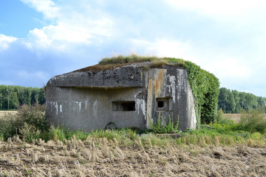 Ligne Maginot - B524 - WARGNIES LE PETIT - (Blockhaus pour canon) - 