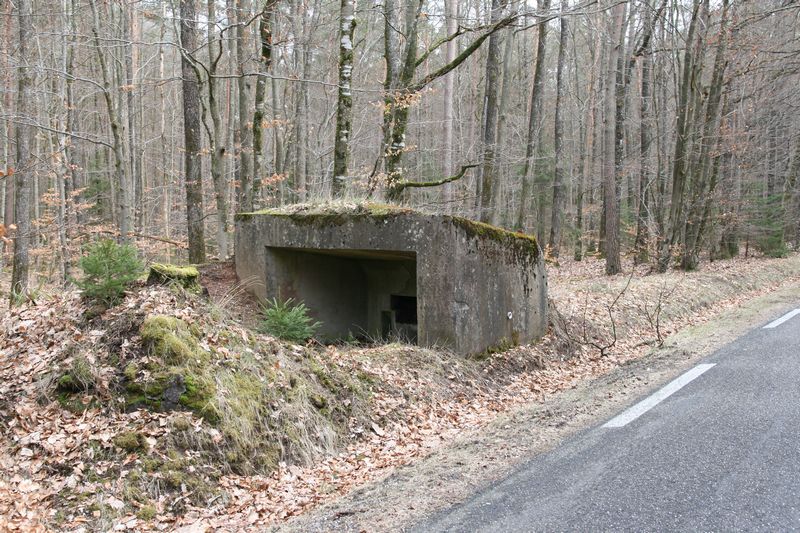 Ligne Maginot - WEIHERSTHAL Nord (Blockhaus pour canon) - 