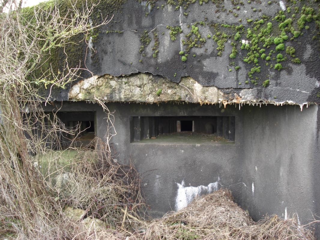 Ligne Maginot - 108 - PALLETTO - (Blockhaus lourd type STG / STG-FCR - Double) - Les créneaux, face est
