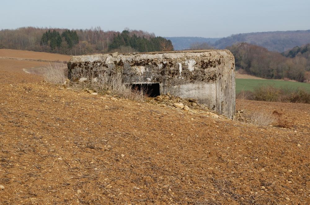 Ligne Maginot - A22 - (Blockhaus pour canon) - En plein champ, sentinelle à son poste