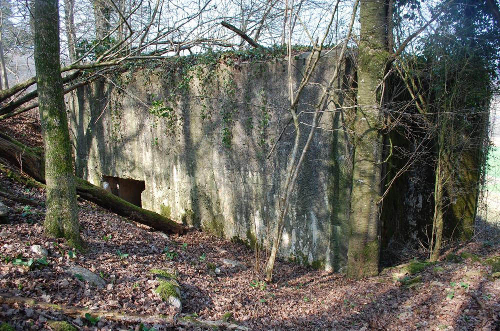 Ligne Maginot - G7 - (Blockhaus lourd type STG / STG-FCR - Simple) - Cet ouvrage, imposant, est construit à flanc de coteau et couvrait de son tir la vallée de la Chiers et la commune de Flabeuville.