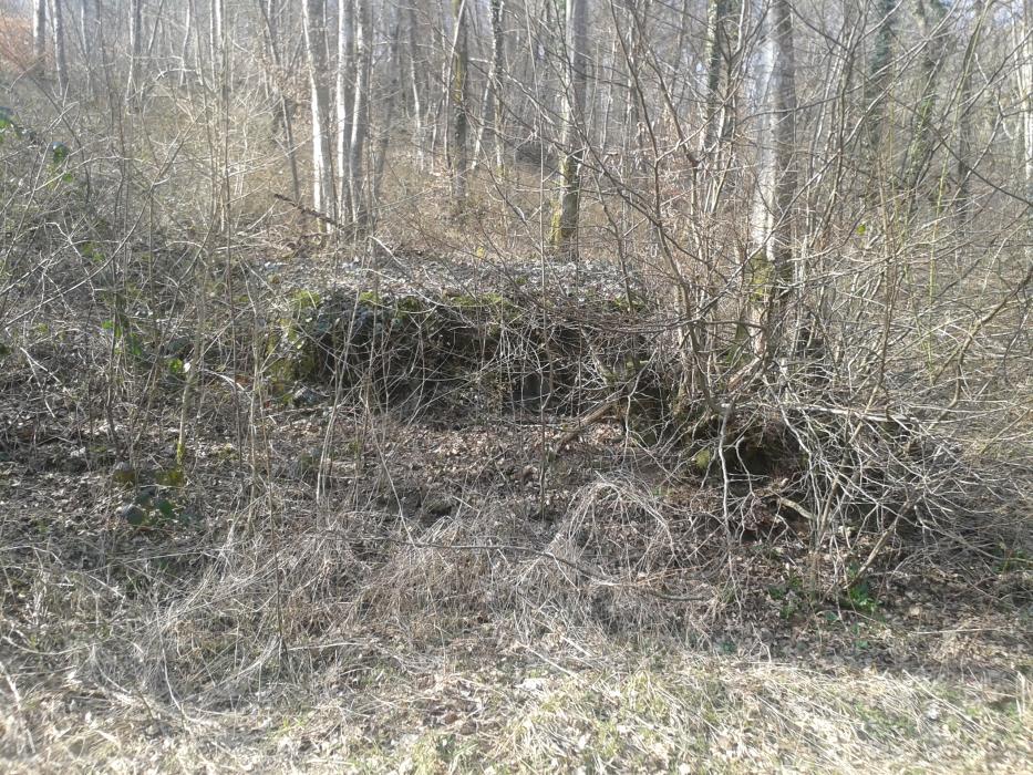 Ligne Maginot - Dbo 1 ( Blockhaus pour canon ) - Le même a peine plus visible a la morte saison le jour du printemps... Ah quand Dame Nature reprend ses droits !