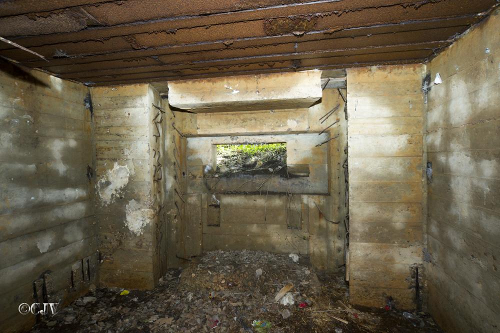 Ligne Maginot - DB202 - (Blockhaus pour canon) - Le créneau