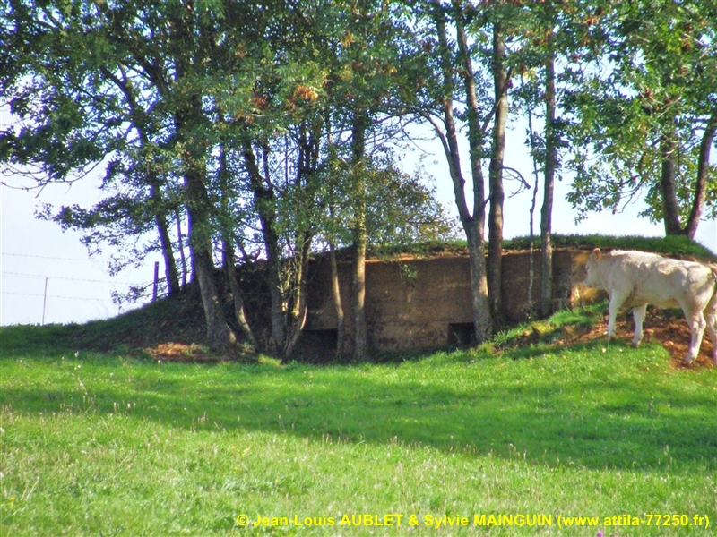 Ligne Maginot - 77 - LES LONGUES ROYES - (Blockhaus pour arme infanterie) - 