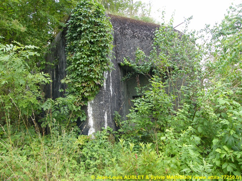 Ligne Maginot - A91 - BREVILLY B - (Blockhaus lourd type STG / STG-FCR - Simple) - Connu aussi sous le nom de Brévilly-Est
(Le bloc est situé dans une propriété privée)