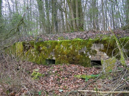 Ligne Maginot - 76 - LE MAMELON OUEST - (Blockhaus pour arme infanterie) - Deux des quatre créneaux (les autres sont à gauche)