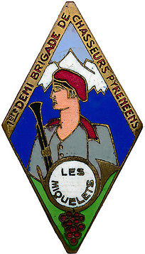 Ligne Maginot - Insigne la 1° Demi Brigade de Chasseurs Pyrénéens - 