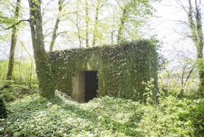 Ligne Maginot - DB317 - BOIS DE BEUVEILLE  OUEST 2 - (Blockhaus pour canon) - 