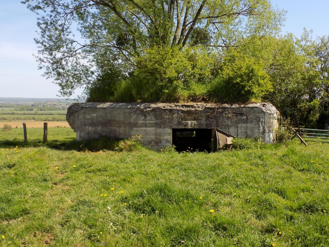 Ligne Maginot - P - FOND DE NOE NORD - (Blockhaus pour canon) - L'arrière, entrée AC
