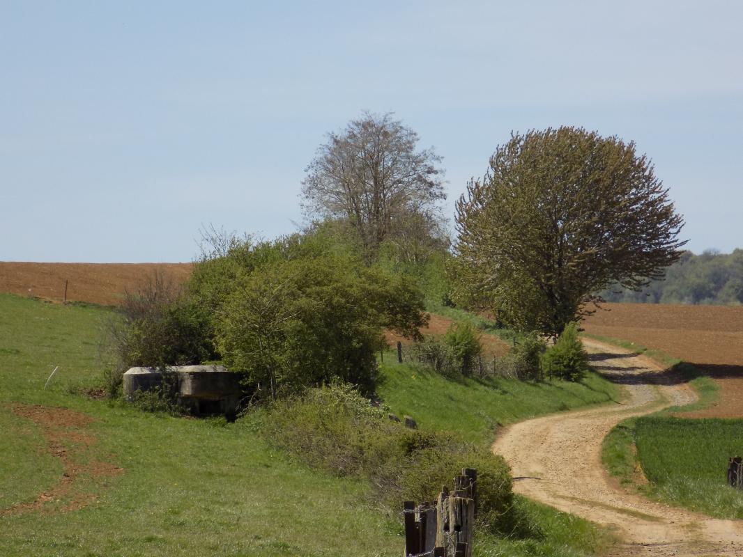 Ligne Maginot - 12C - MONT DE BRUNE NORD - (Blockhaus pour arme infanterie) - pris du voie Romaine vers le sud-ouest