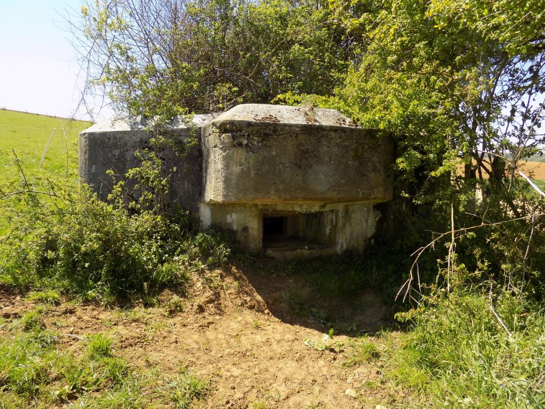 Ligne Maginot - 12C - MONT DE BRUNE NORD - (Blockhaus pour arme infanterie) - Face centrale