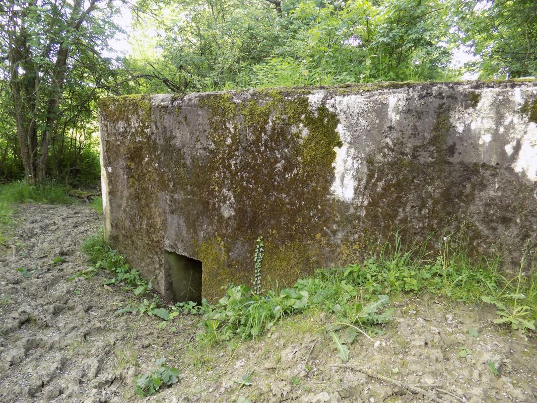 Ligne Maginot - FOND DE LA CHAUSSEE OUEST - (Blockhaus pour canon) - Face droite avec l'entrée hommes