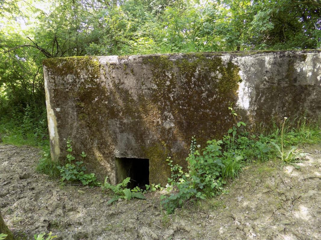 Ligne Maginot - FOND DE LA CHAUSSEE OUEST - (Blockhaus pour canon) - Face droite avec l'entrée hommes