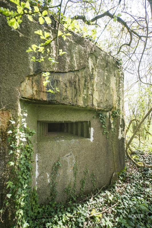 Ligne Maginot - DB34 - LA HAIE AUX MURES - (Blockhaus pour canon) - 