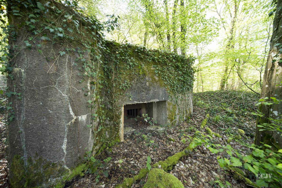 Ligne Maginot - DB330 - BOIS DE LA HEURETTE CENTRE - (Blockhaus pour arme infanterie) - 