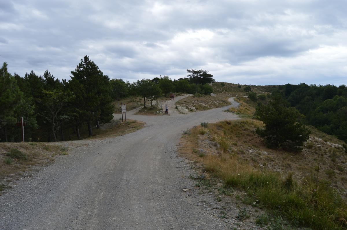 Ligne Maginot - LA LAVINA (3° BIE 157°RAP) - (Position d'artillerie préparée) - Route d'accès