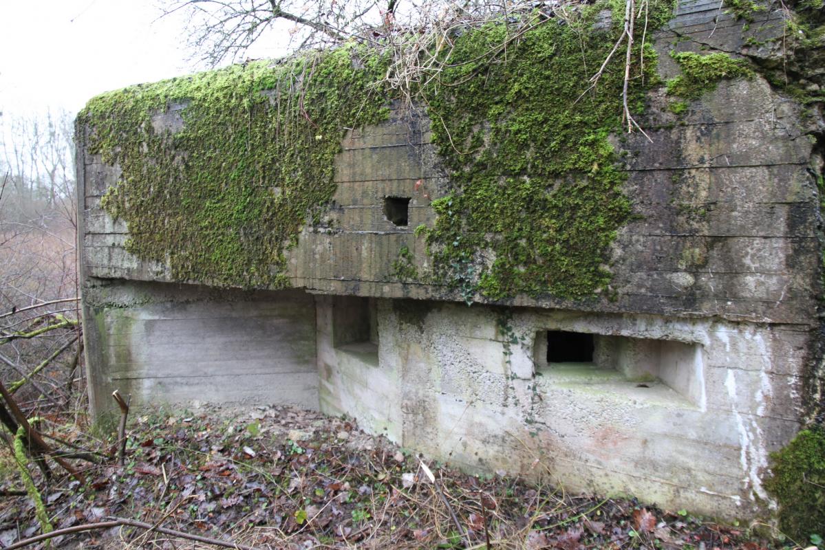Ligne Maginot - Blockhaus DIGUE DE FRIESENHEIM 4 - 