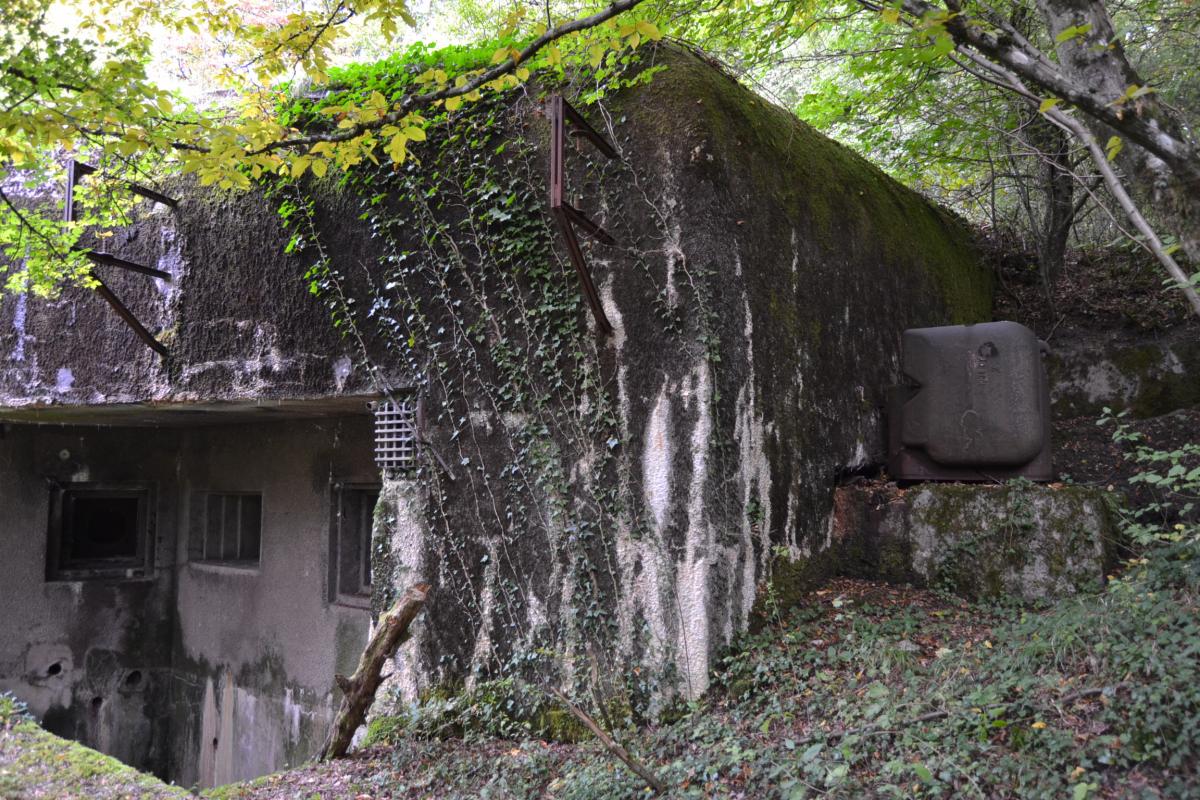 Ligne Maginot - KOBENBUSCH  - A13 - (Ouvrage d'artillerie) - Bloc 2
Façade du bloc