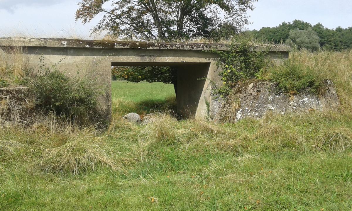 Ligne Maginot - VF60 - Antenne Métrich - Pont sur la Canner n°1
Etabli sur une décaissement du terrain  servant probalement  de passage pour les vaches ou autre d'un champ à l'autre