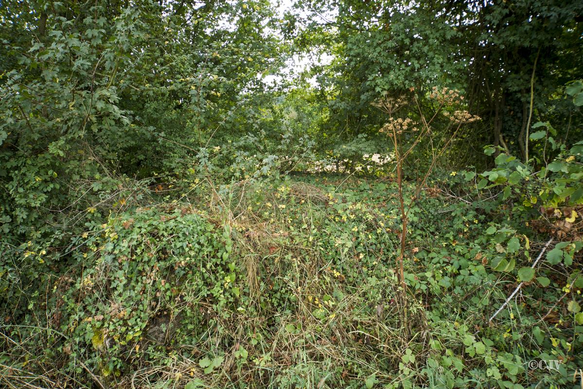 Ligne Maginot - BB350 - SCHLIMFELD - (Blockhaus pour arme infanterie) - Le blockhaus est totalement envahi par la végétation