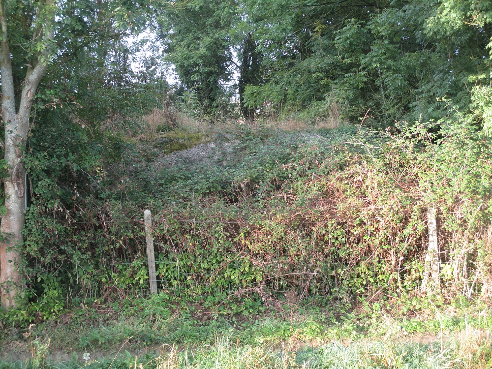 Ligne Maginot - B262 - FERME du FORET (Blockhaus pour canon) - Blockhaus encerclé de broussailles et d'arbustes - Vu de la D191 Boulevard Eurométropole.