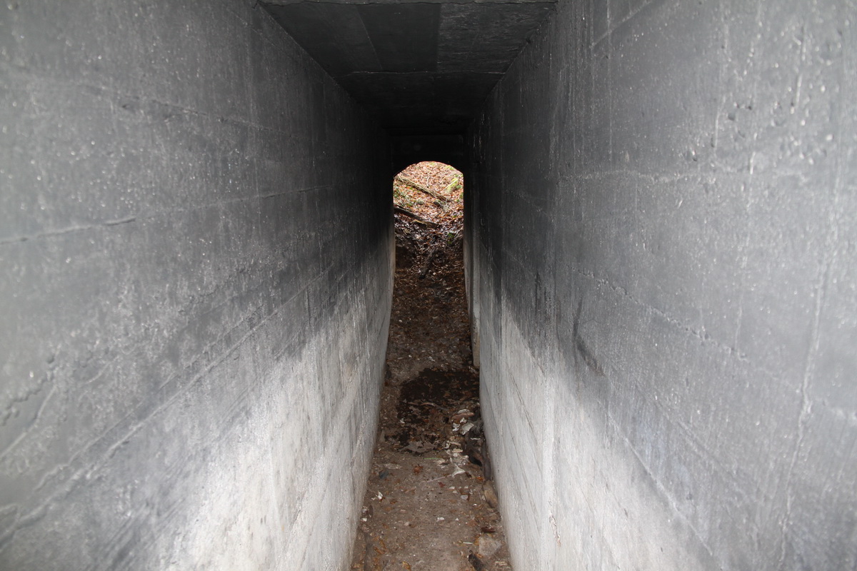 Ligne Maginot - Abri de KEMBS LOECHLE - Entrée droite
