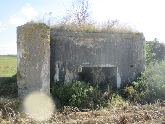 Ligne Maginot - BEF 323 - L'EPINETTE OUEST - (Blockhaus pour canon) - Face orientée côté ouest.