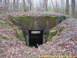 Ligne Maginot - AB38BIS - BOIS DE LAUDREFANG 5 - (Blockhaus pour canon) - 