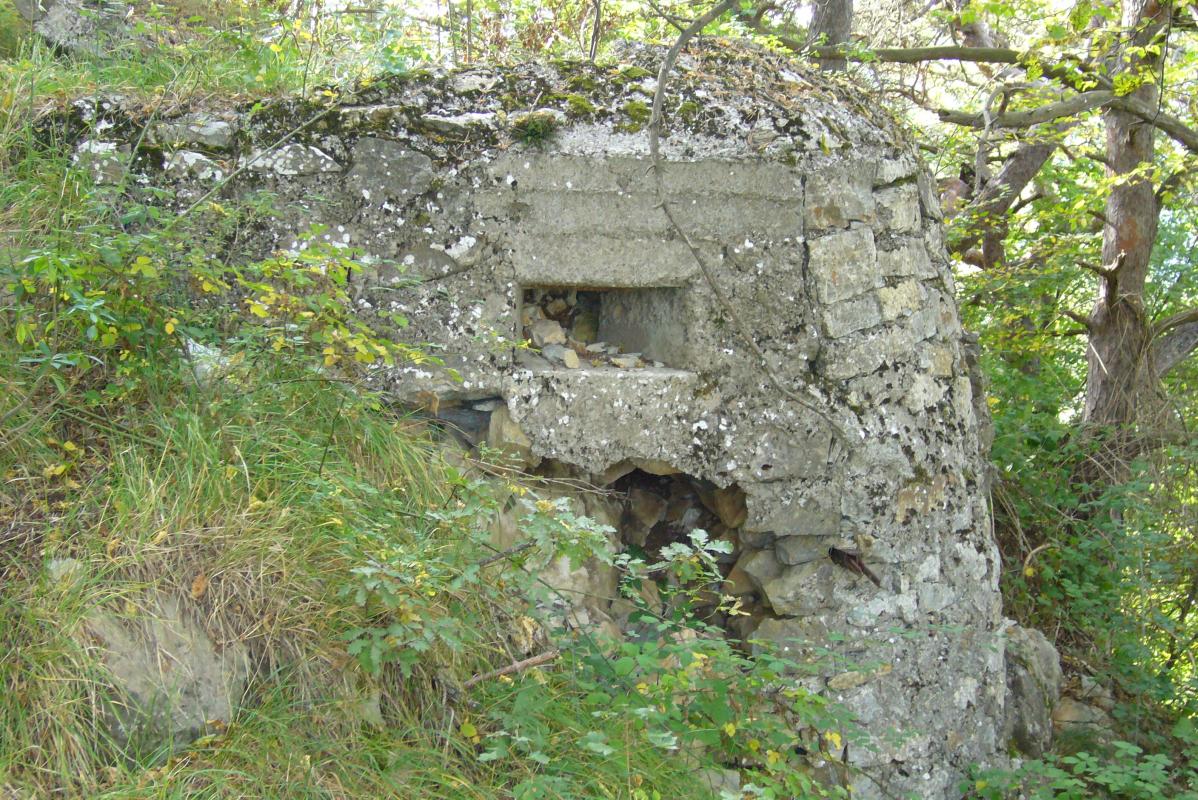 Ligne Maginot - Col de l'Orme - Blockhaus pour arme d'infanterie - 